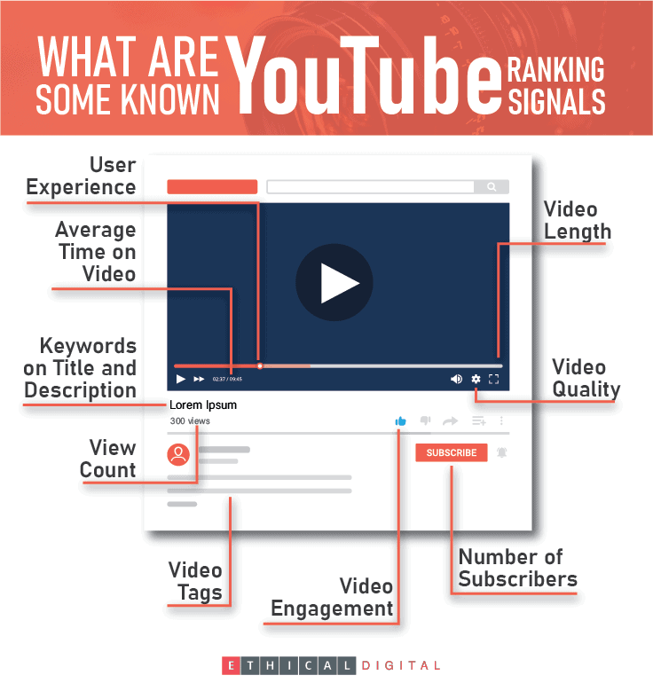Youtube Ranking Signals Infographics